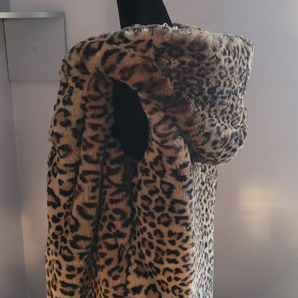 Zara Animal Print - Picture 4 of 7